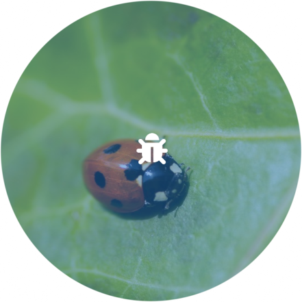 Muponi Property Management Pest Control Services